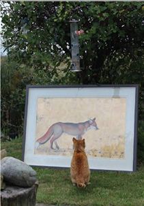 Picture of Fox & Cat