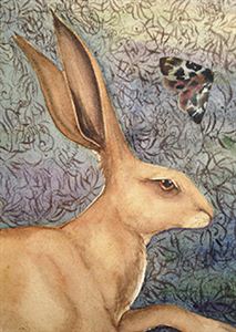 Picture of Hare & Moth