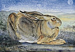 Picture of The Old Hare in Spring