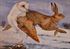 Picture of The Barn Owl and Hare