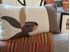 Picture of Hare Cushion