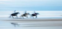 Picture of A Gallop on the Beach