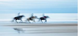 Picture of A Gallop on the Beach