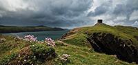 Picture of The Lookout at Abereiddy