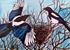 Picture of The Lost Words Magpie Jigsaw