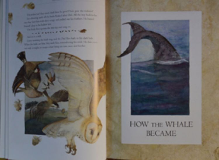 Picture of How the Whale Became