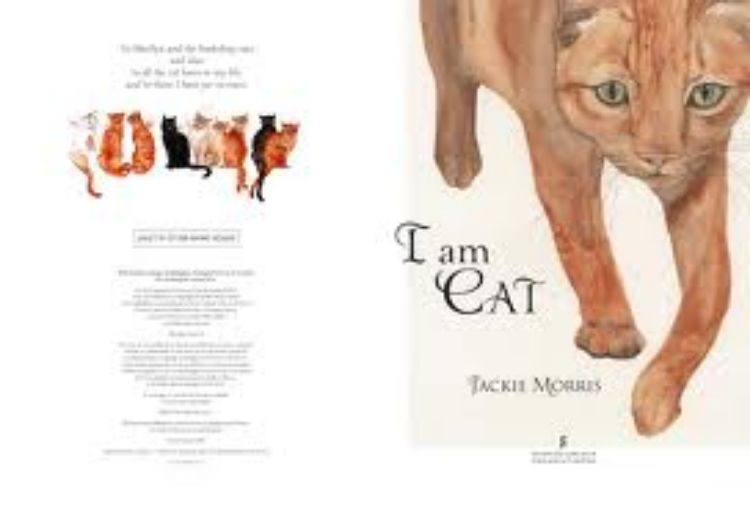 Picture of I am Cat