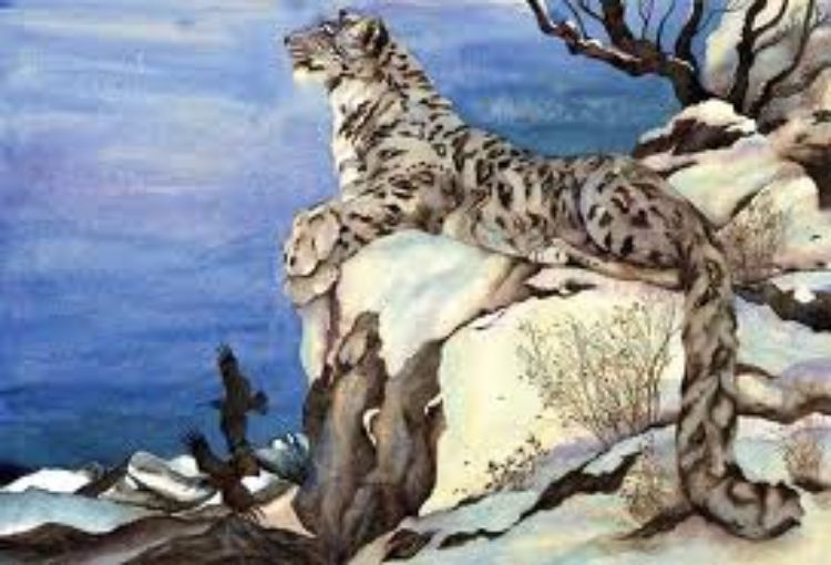 Picture of The Snow Leopard