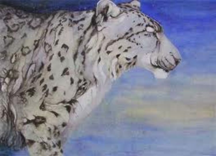 Picture of The Snow Leopard