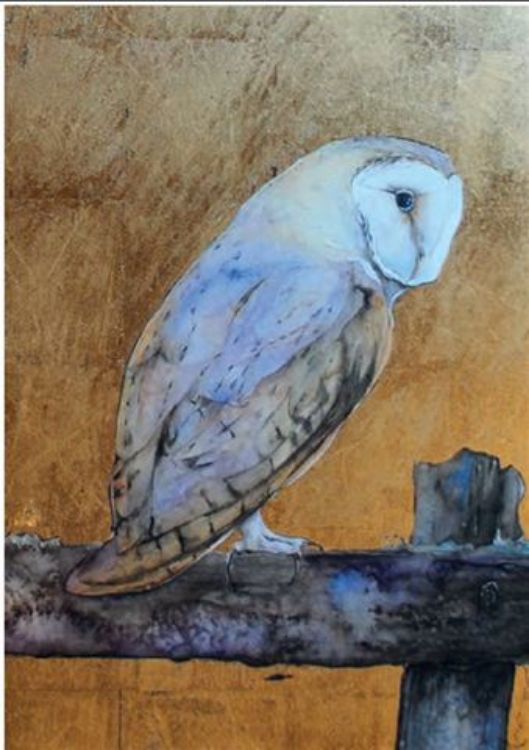 Picture of Owl 1