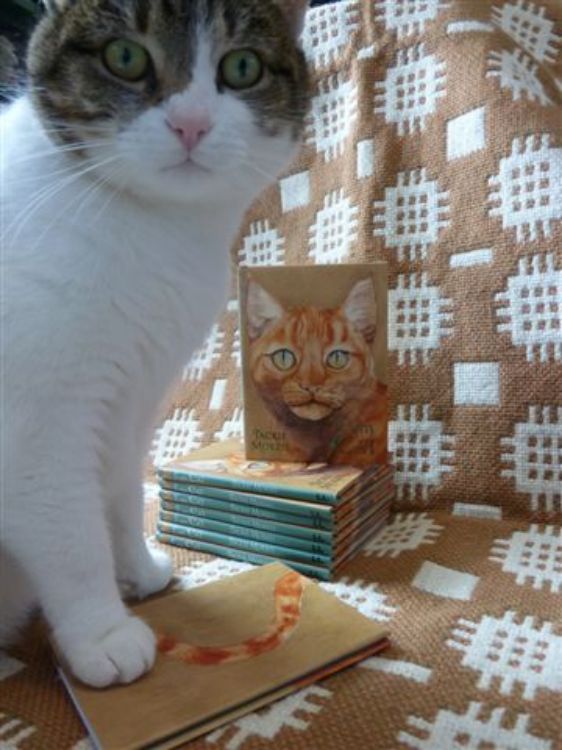 Picture of I am Cat (Mini)