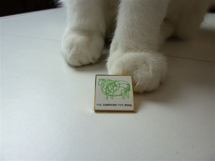 Picture of Campaign for Wool Pin Badges