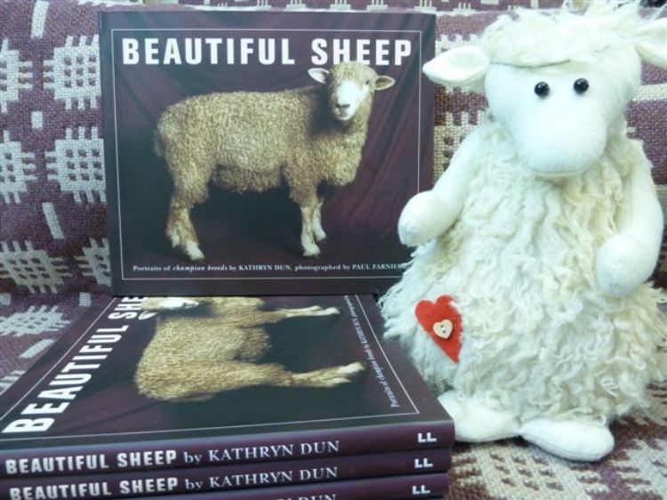 Picture of Beautiful Sheep