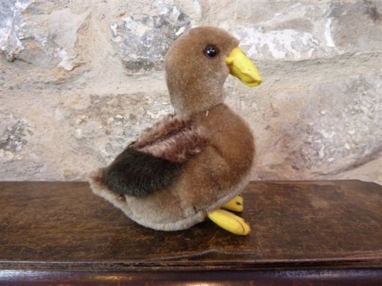 Picture of Duck 1
