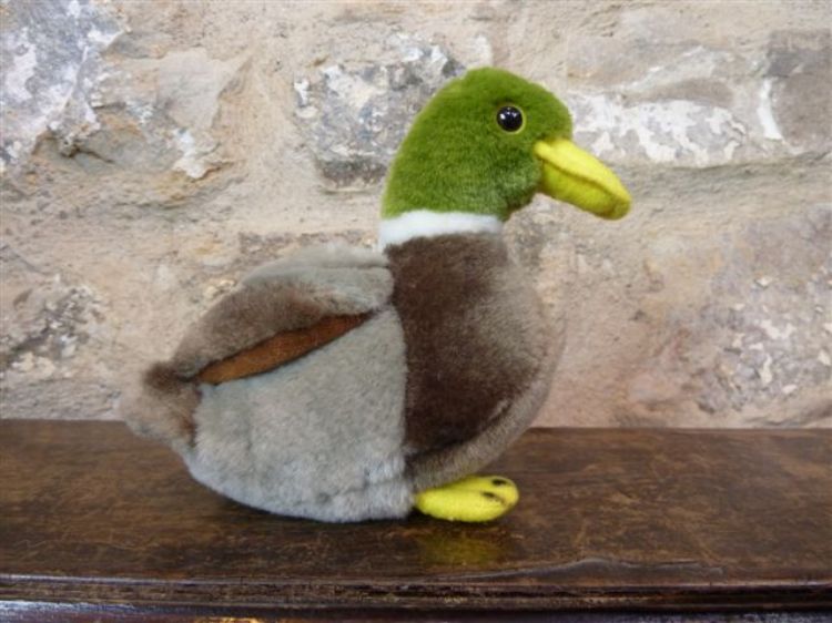 Picture of Duck 2