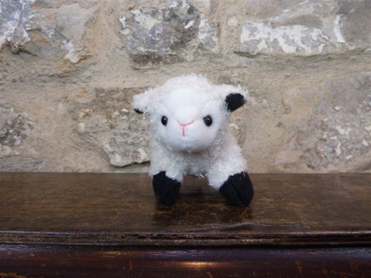 Picture of Lamb