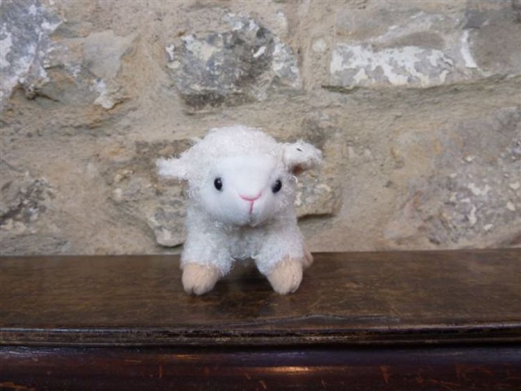 Picture of Lamb
