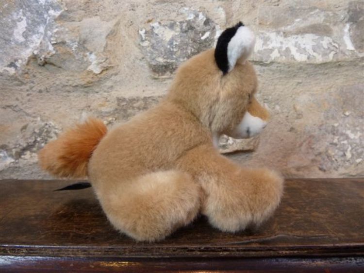 Picture of Red Fox