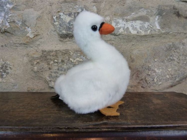 Picture of Swan