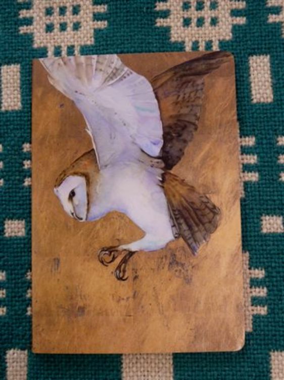 Picture of Jackie Morris Notebooks