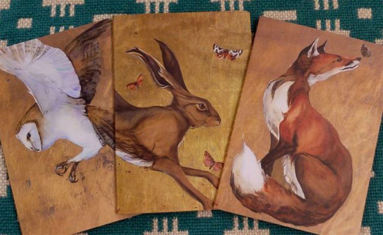 Picture of Jackie Morris Notebooks