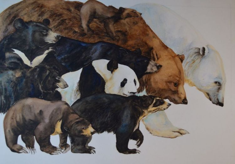 Picture of Something about a Bear