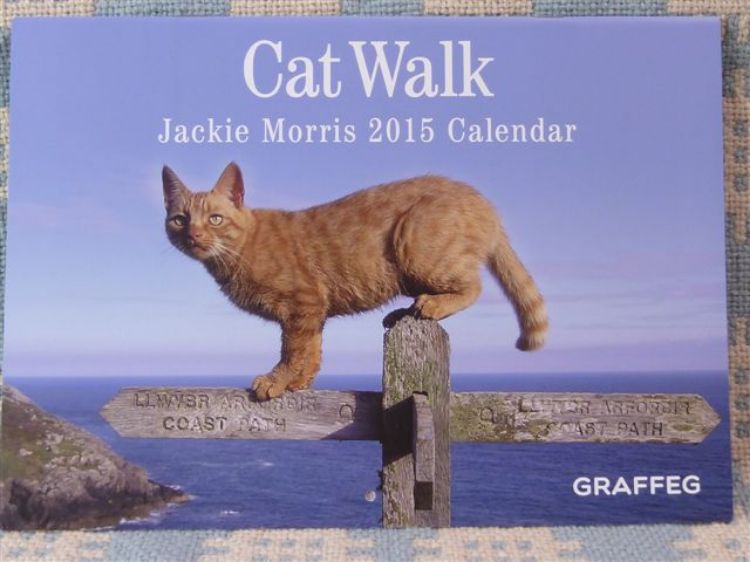 Picture of Cat Walk Calendar 2015