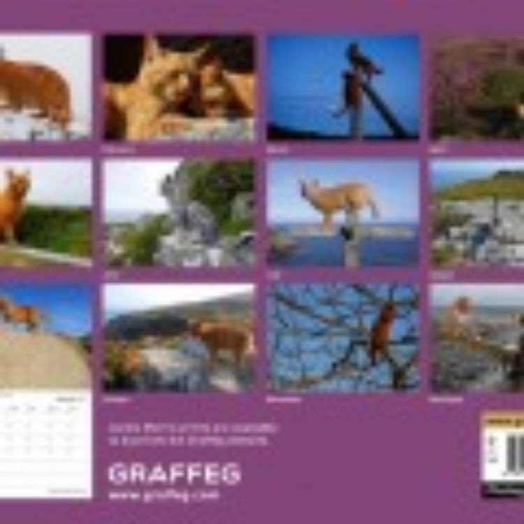 Picture of Cat Walk Calendar 2015