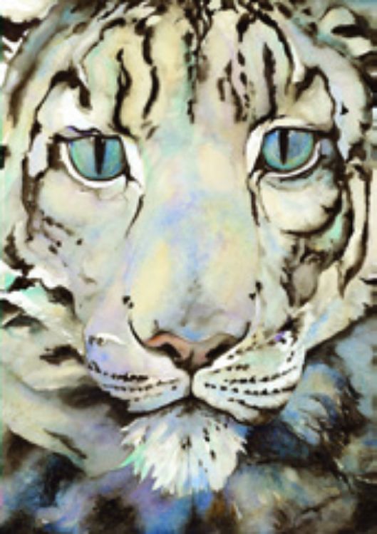Picture of Snow Leopard