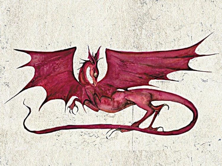 Picture of Robin Hobb Notecards - Dragons