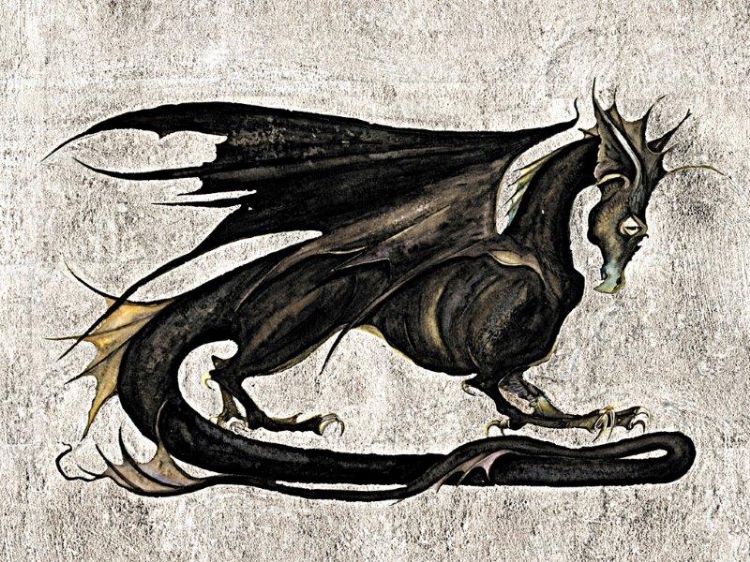 Picture of Robin Hobb Notecards - Dragons