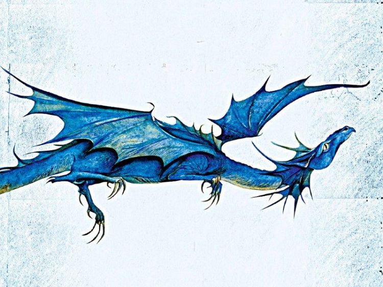 Picture of Robin Hobb Notecards - Dragons