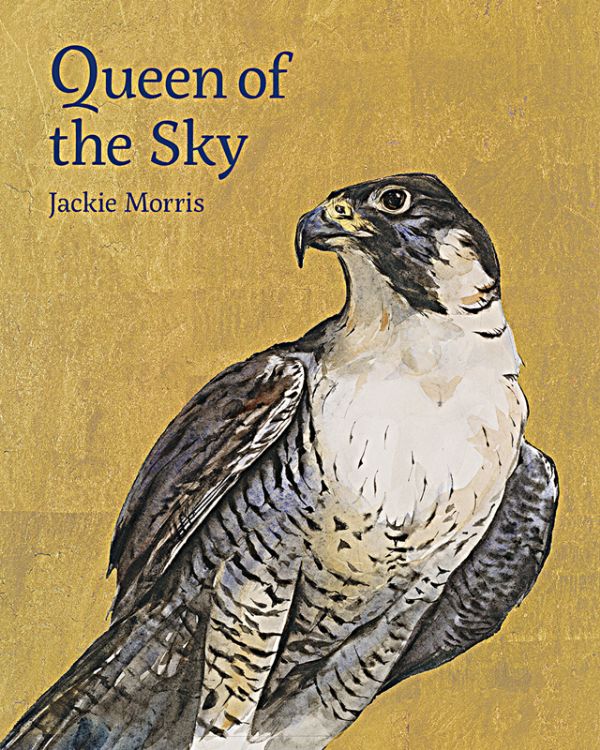 Picture of Queen of the Sky