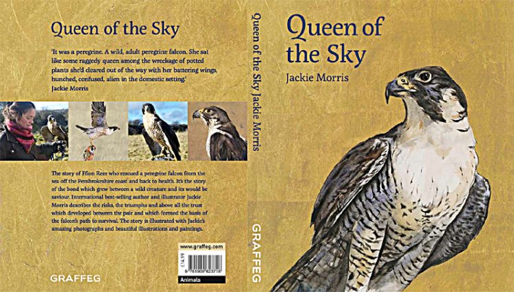 Picture of Queen of the Sky
