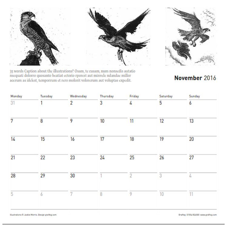 Picture of Jackie Morris 2016 Calendar