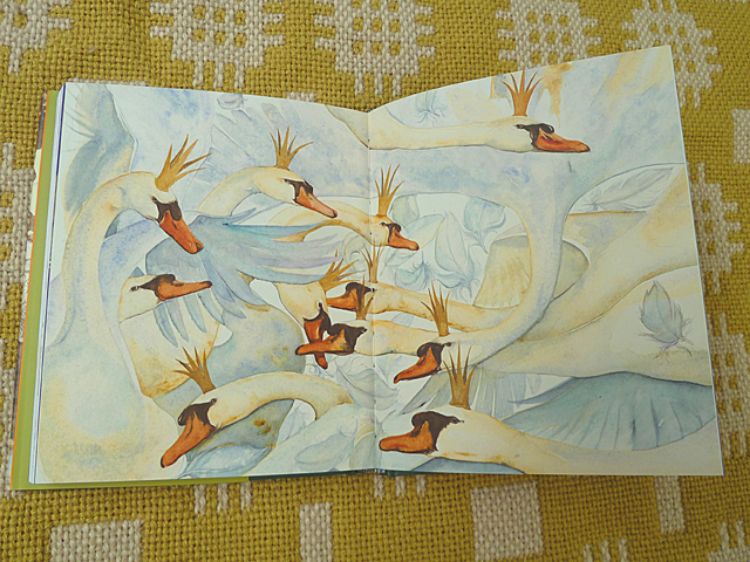 Picture of The Wild Swans