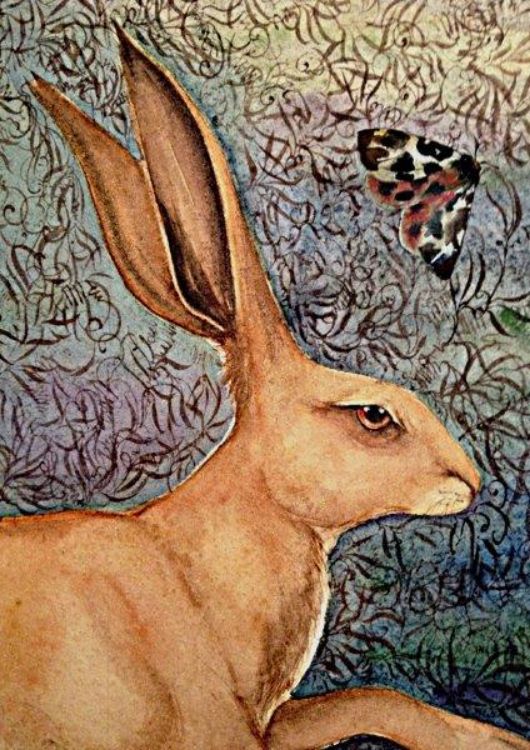 Picture of The Hare and Moth