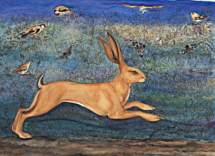 Picture of The Young Queen of Hares