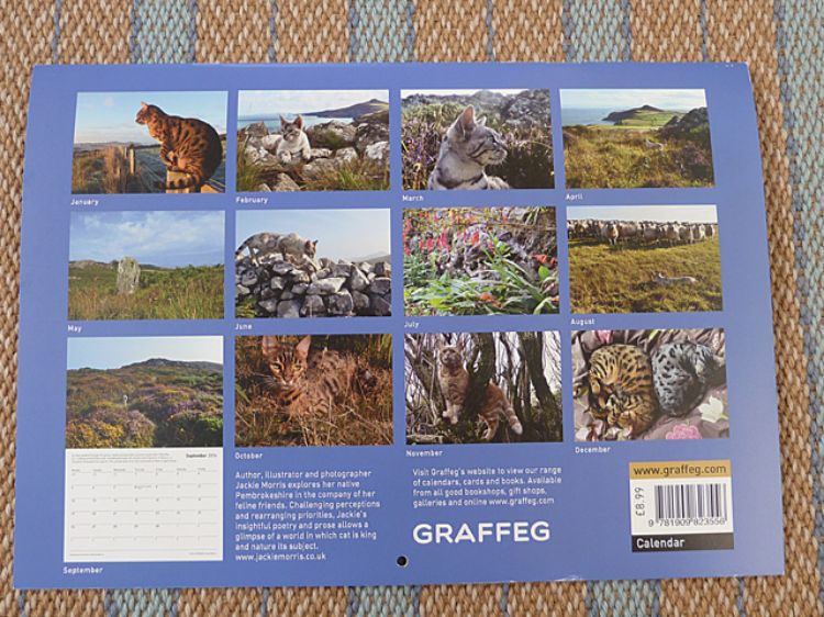 Picture of Cat Walk Calendar 2016