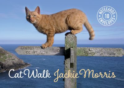Show details for Cat Walk Notecards Picture of Cat Walk Notecards