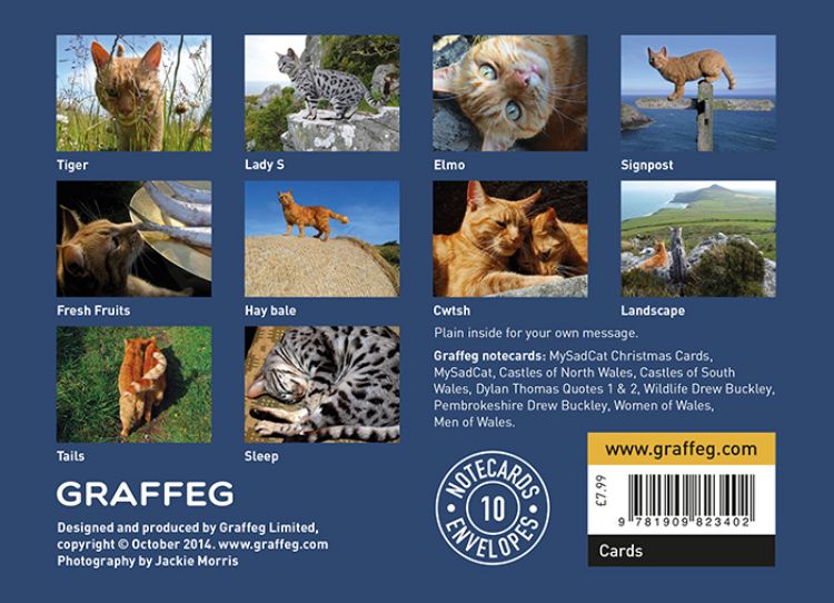 Picture of Cat Walk Notecards