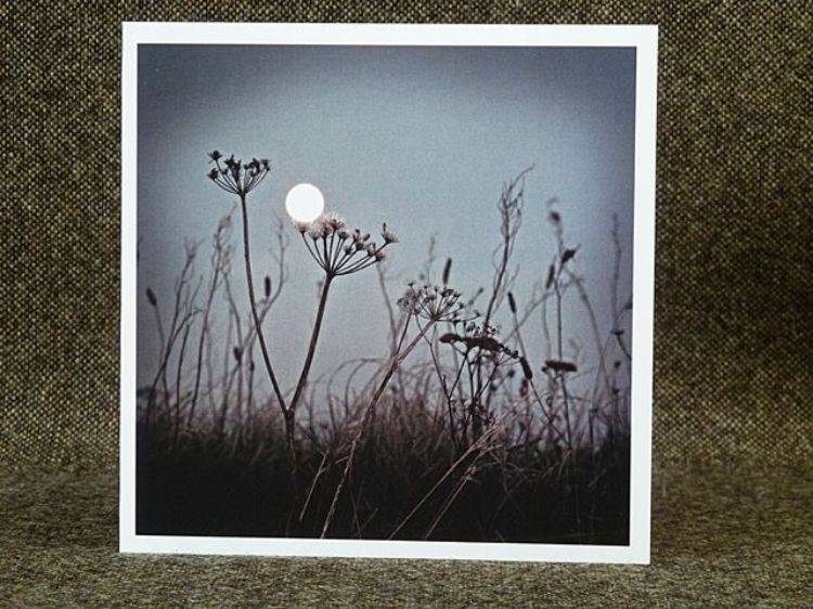 Picture of September Supermoon