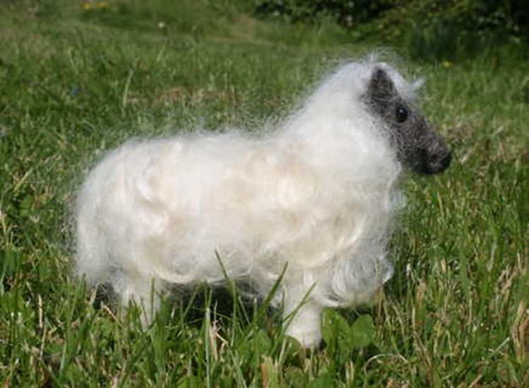 Picture of Wensleydale Sheep Needle Felting Kit