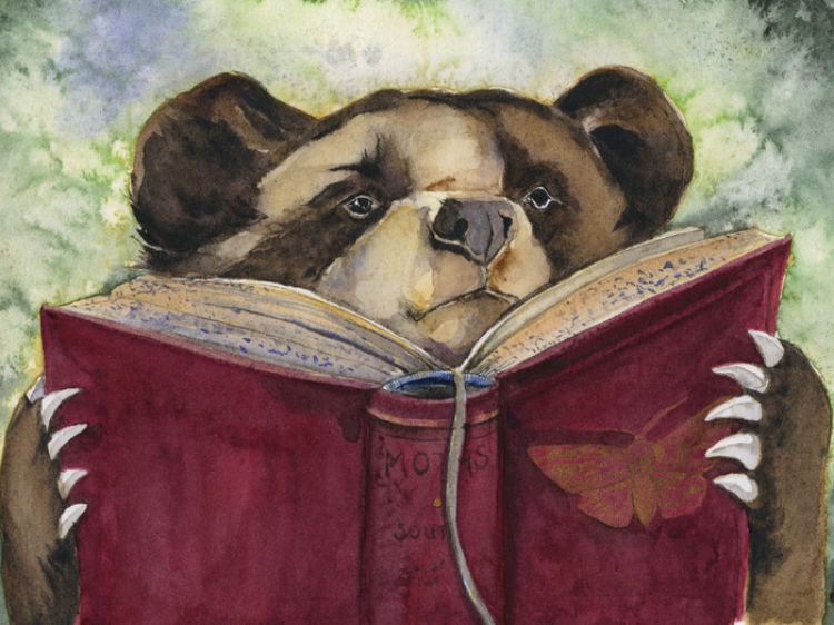 Picture of The Art of Reading Postcards