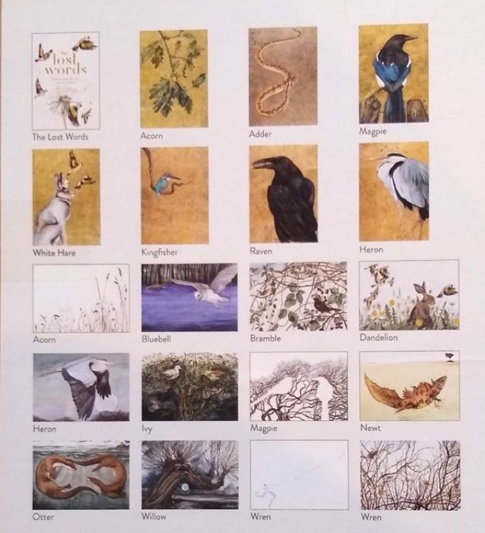 Picture of The Lost Words Postcards