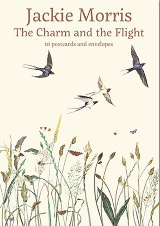Picture of The Charm and the Flight Postcards