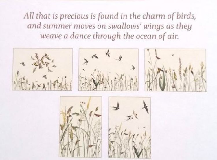 Picture of The Charm and the Flight Postcards