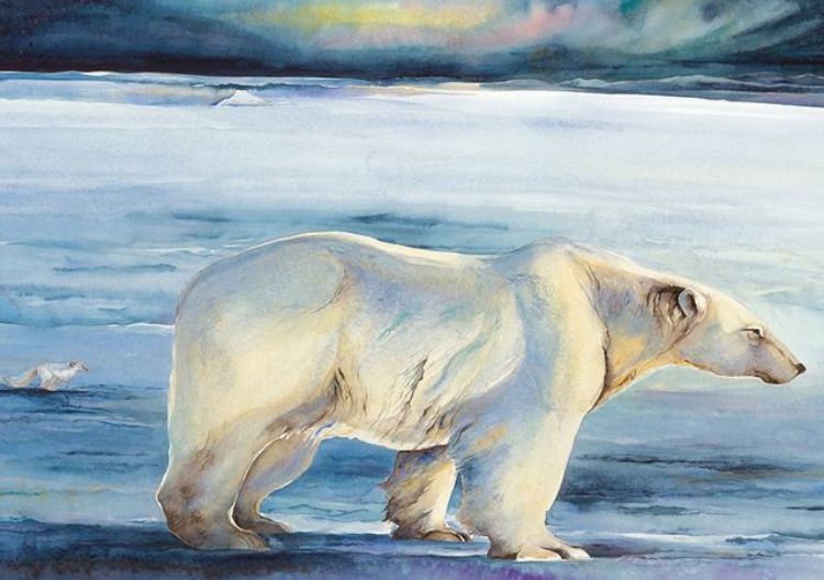 Picture of The Ice Bear Postcards