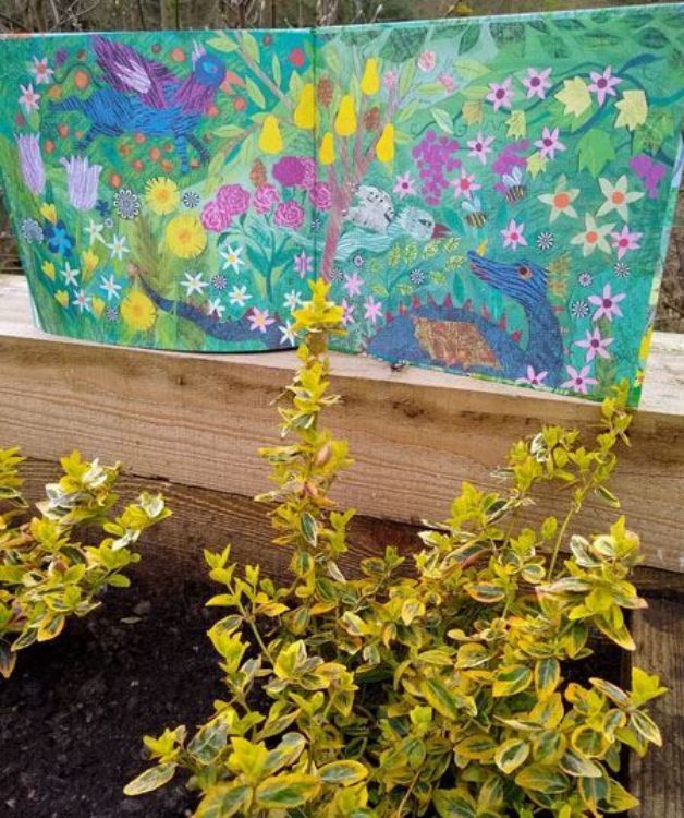 Picture of Mrs Noah's Garden