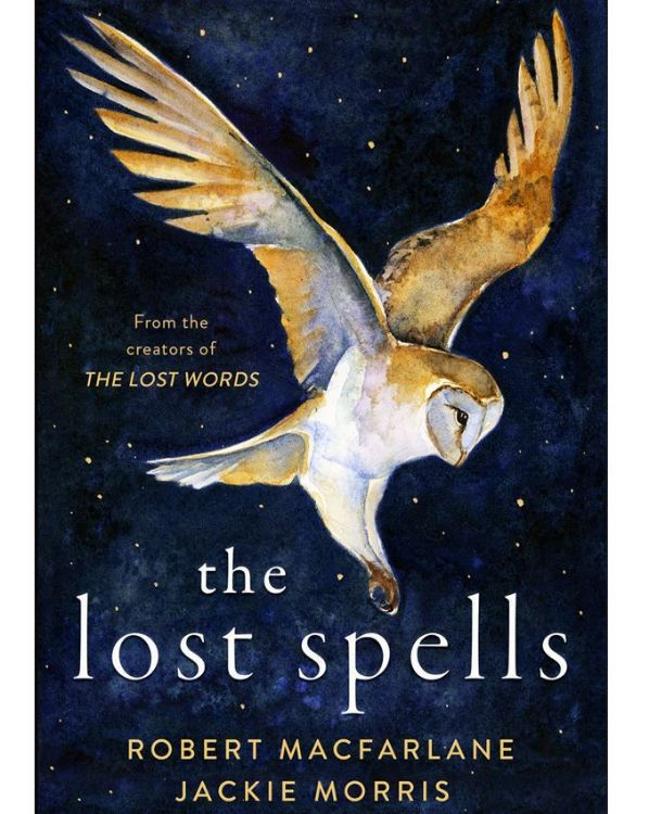 Picture of The Lost Spells